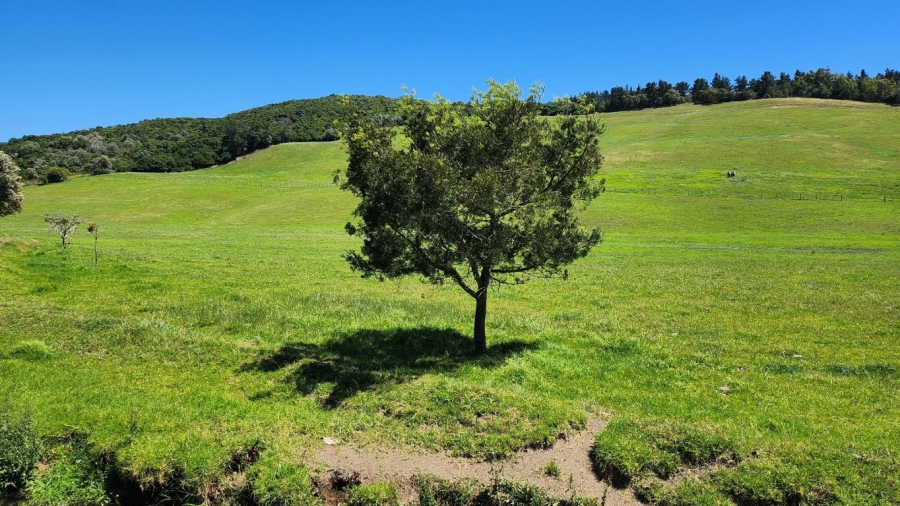 0 Bedroom Property for Sale in Agricultural Holding 318 Western Cape